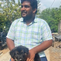 Gowtham Sai Ghanta