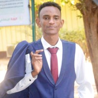 mahmoud elbashir