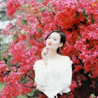 Merry Li