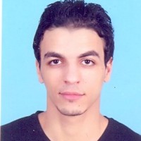 Mohamed El Wardany