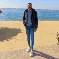 Mohamed Ashour