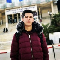 Ali Ameur