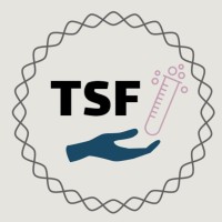 Triangle STEM Foundation