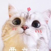 洪文静