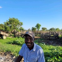 gilbert thwala