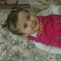 mohsen hey