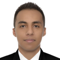 Julian Alejandro Sanchez Lugo