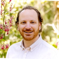 David Pisano