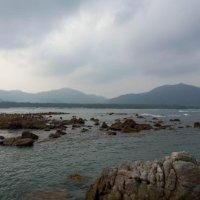 杨伟生