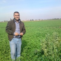 Mohamed Fouad