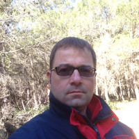 Domenico Greco