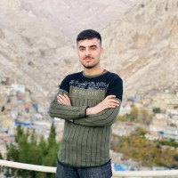 Mahdi M Omer