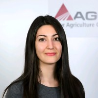 Beatrice Maino