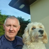 Dixie Finnegan
