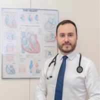 Nemer L. Pichara