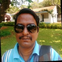 Parthasarthy S
