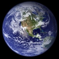 Link Connection, One Organization (My Business)