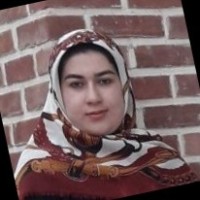 Z Sattari