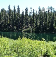 Juan Camilo Jaramillo Ramirez