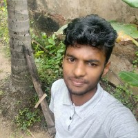Parthasarathy M