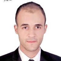 Hossam Eldin Hassan