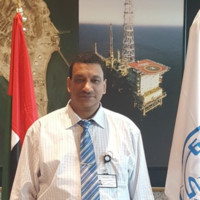 Hany Elmantawy