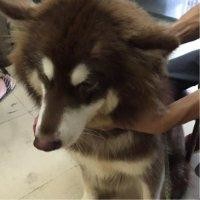 吴钦永