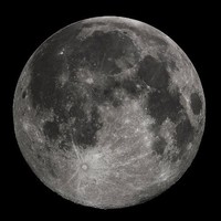 Randy Moon