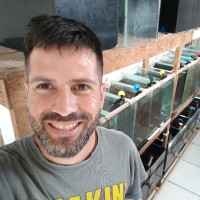 Alexandre Mariano