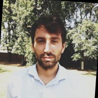 Roberto Vannini