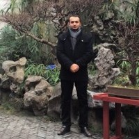 Ali Dashtizadeh