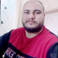 Mahmoud Almoqdam
