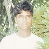 Z Alam