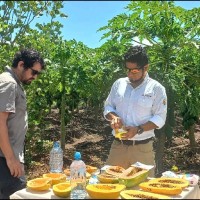 César Augusto Díaz Gonzales