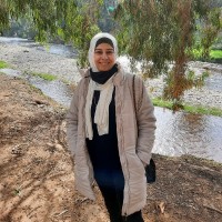 Manal Al Alami