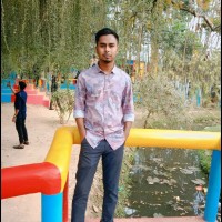 MD.Alinur Islam