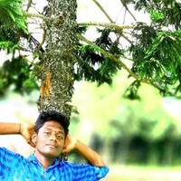 Divagar Divagar