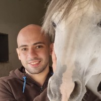 Abdulrahman Alhalabi