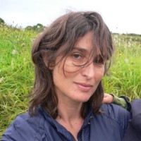 Dorotea Valls Adler