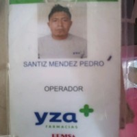 Pedro Santiz Mendez