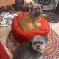 Rusty Bean And Teddy Bear