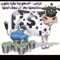 ابو لياس