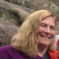 Diane Meier Md