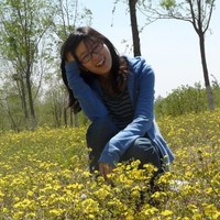Ivy Chen