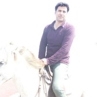 Mehdi Sanei