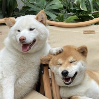 彭佳琪