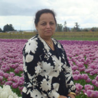 Naina Ailani
