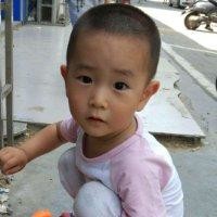 李延豪