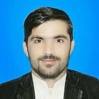Syed Anwar Shah