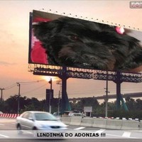Adonias Freitas